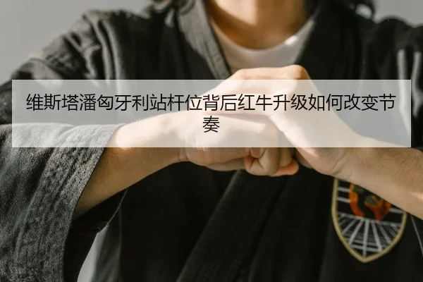 维斯塔潘匈牙利站杆位背后红牛升级如何改变节奏